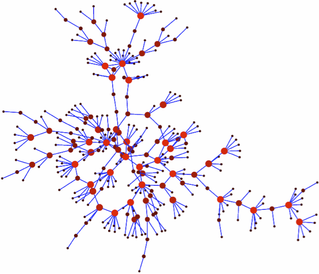 Network Dynamics